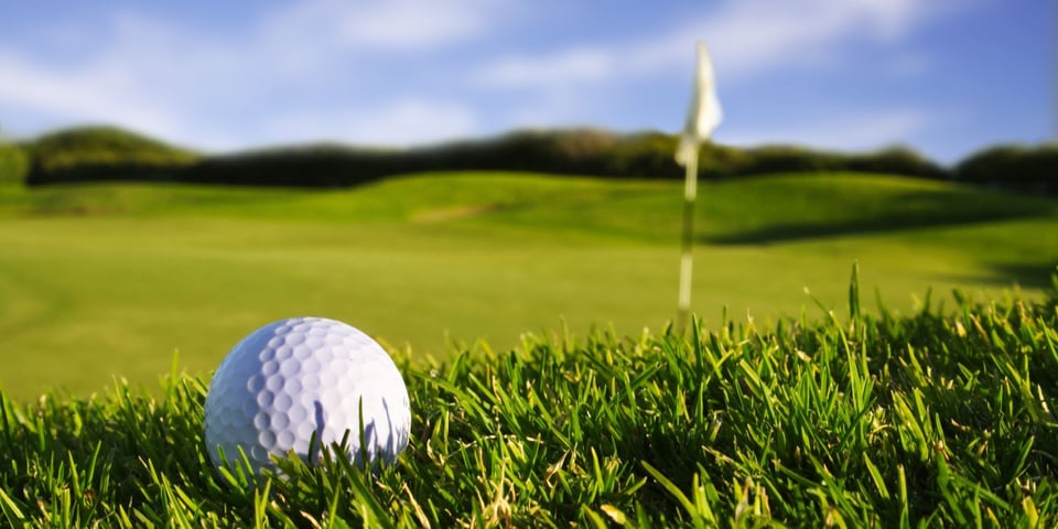 Stock Image of a golf ball on a course in Scottsdale, AZ
